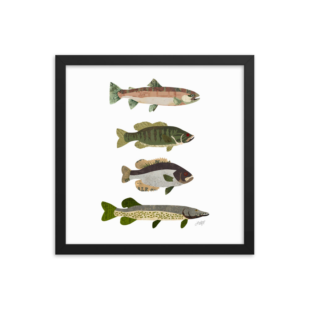 Collage de poissons - Impression mate encadrée